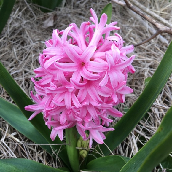 Please read before making low offers. Thank you. - Picture 4 of 5